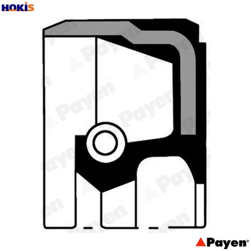 Shaft seal crankshaft nb806 - shaft,