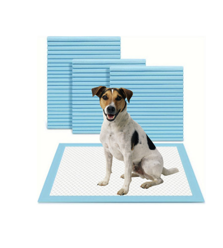 Large dog pads toilet - dog, pee