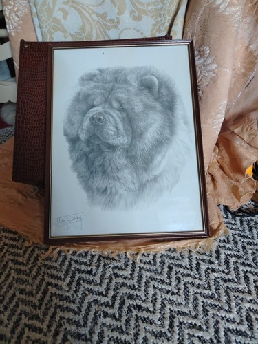 Chow dog artist - chow, mj