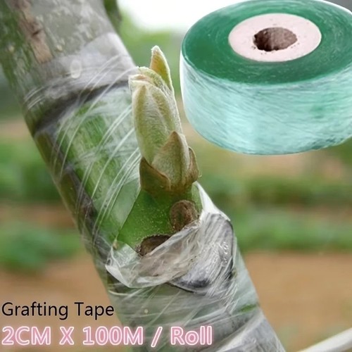 Eco friendly biodegradable - eco-friendly,