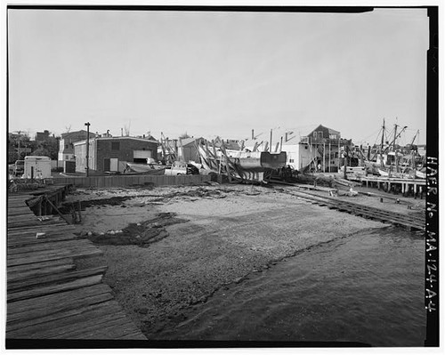 Cape cod cold - cod,