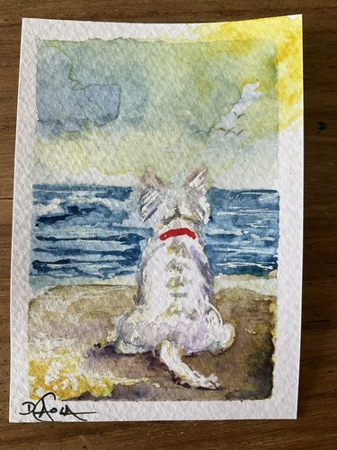 Watercolor aceo painting west - aceo,
