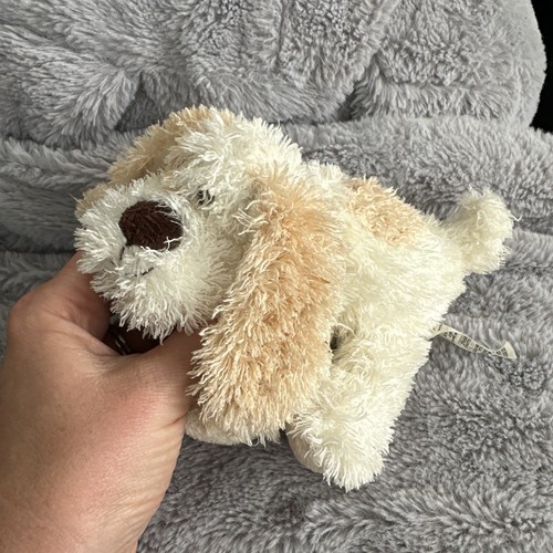 Dog teddy soft - dog, plush