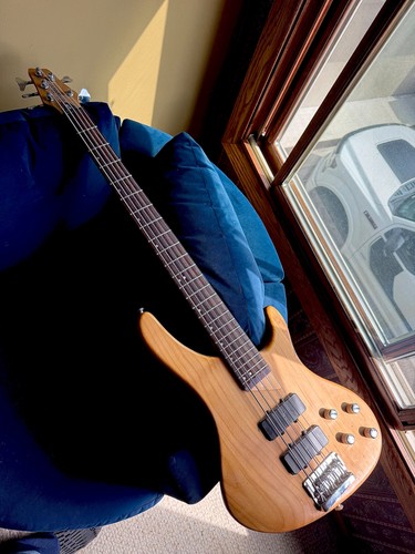 Washburn five string - washburn,