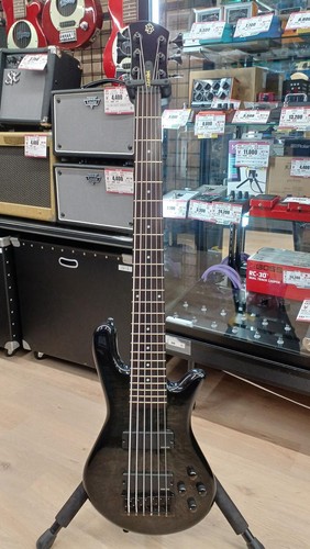 Spector string bass legend6 - bass,