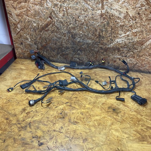 Ducati main loom - ducati, monster
