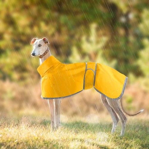 Lightweight whippet raincoat - whippet,