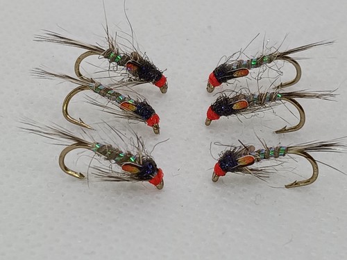 Hot head hares - ear, bach