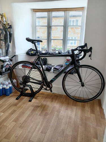 Radial revere full carbon - revere,
