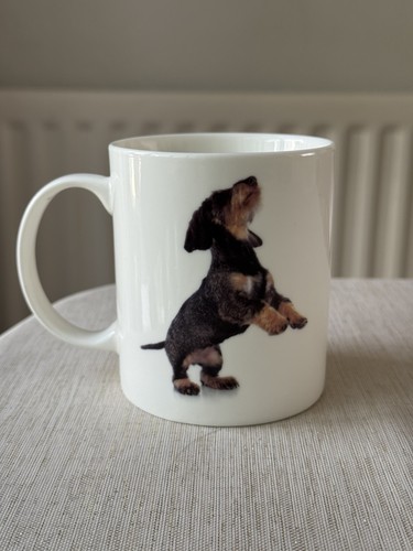 Dachshund puppy mug cute - puppy, –