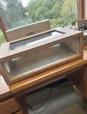 Small Snake or Reptile