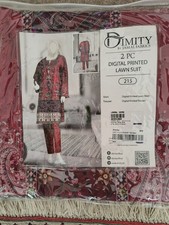 Lovely South Asian Suit