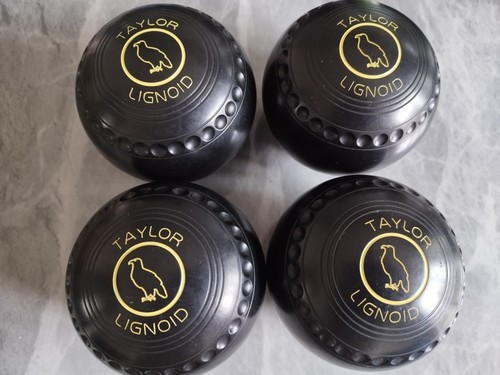 Taylor lignoid lawn - lawn, size