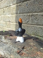 Old Vintage Pie Bird Blackbird