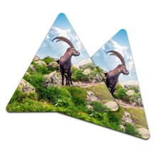 2x Triangle Coaster - Alpine Ibex Mountain France #16280
