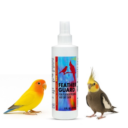 Morning bird feather - feather, guard