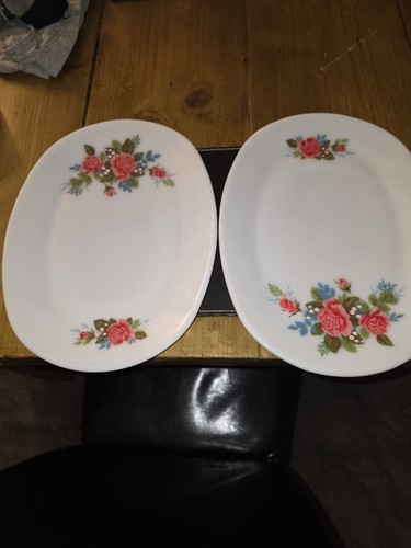 Pyrex meat plates - 2,