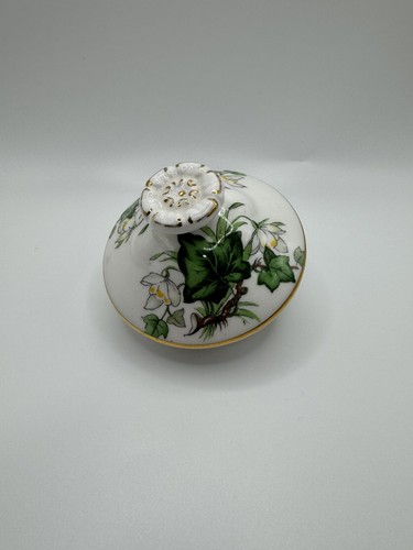 Royal albert ivy - royal,