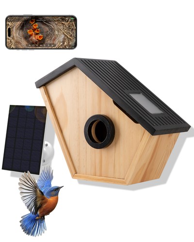 Smart bird box - bird, 4mp
