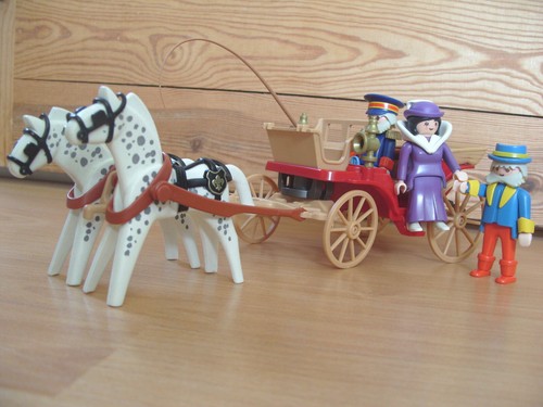 Playmobil 100 complete - 100%,