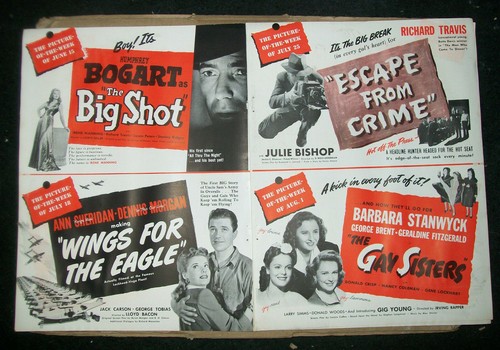 Big shot wings for the - shot/wings,
