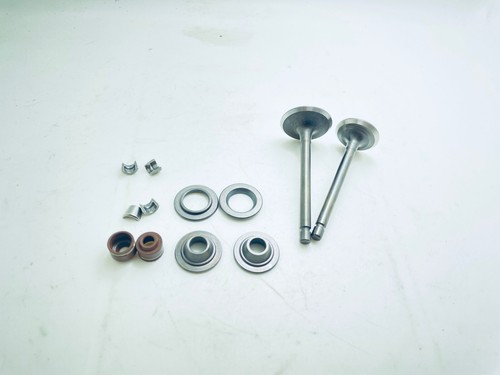 Intake exhaust valve seat oil - intake,