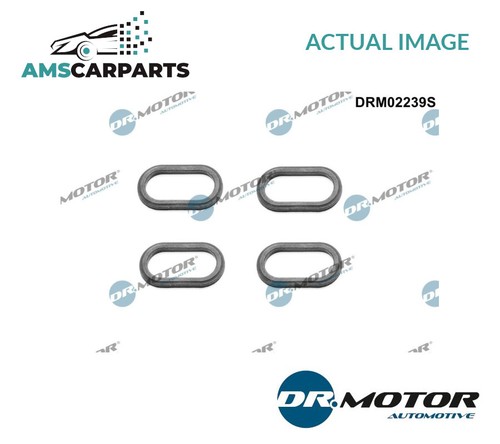 Seal ring injector drm02239s - seal,