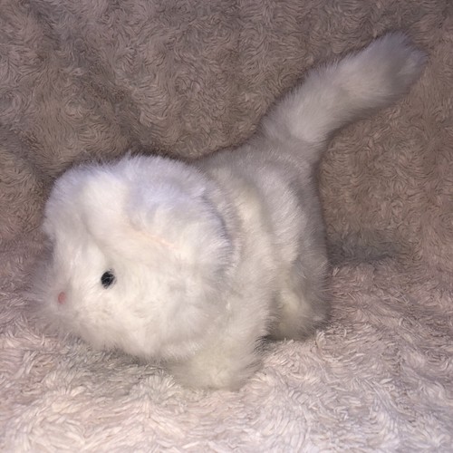 Vintage 1986 clara the - the, kitten
