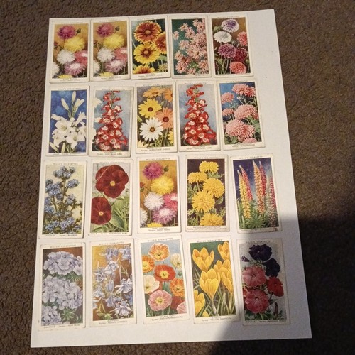 Garden flowers cigarette cards - garden,