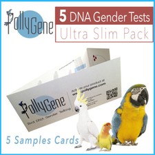 5 Bird Slim DNA Gender Sexing