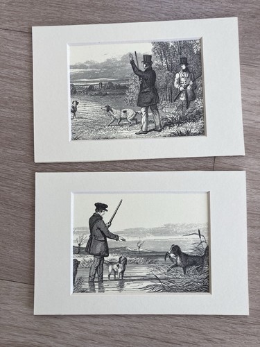 Pair small hunting theme - pair,