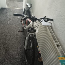 Raleigh Mountain Bike All
