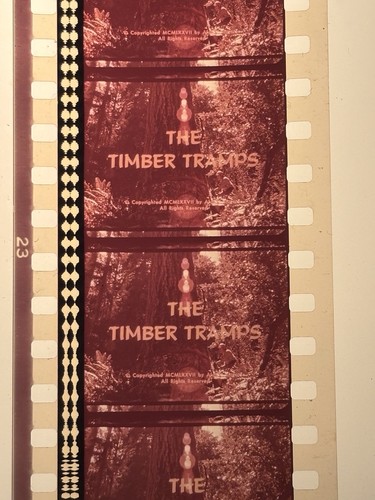 Timber tramps - “timber, (1973)
