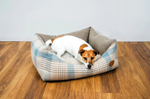 Snug cosy pets - snug, |