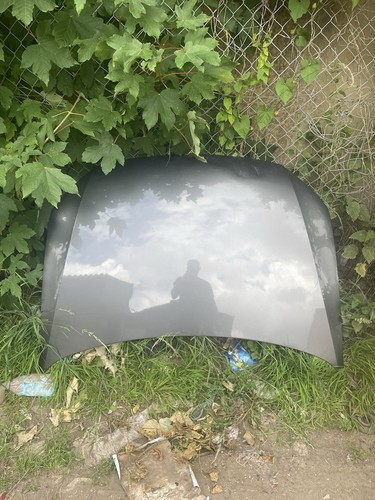 2012 volkswagen polo bonnet - 2012,