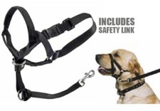 Dog Training Halter