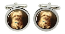 Griffon Bruxellois Cufflinks