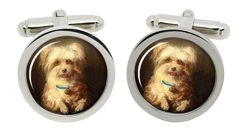 Griffon bruxellois cufflinks - bruxellois,