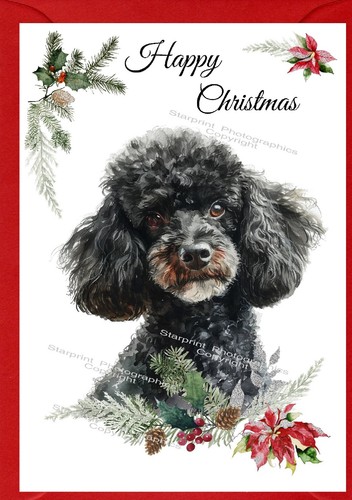 Poodle dog christmas - poodle,