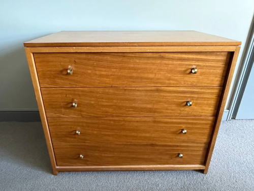 Rare archie shine - archie, chests