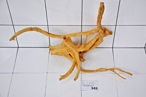Premium aquarium natural wood - aquarium,