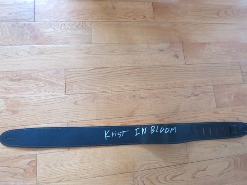 Krist novoselic signed guitar - novoselic,