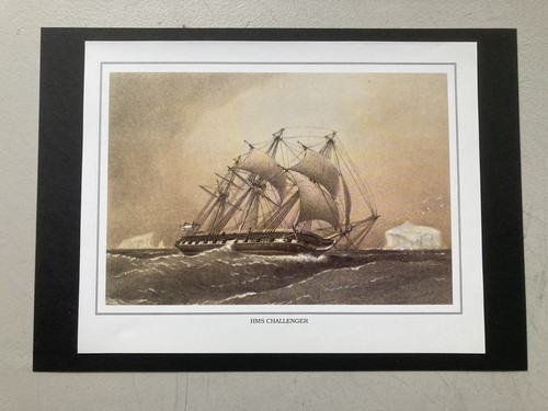 Naval print hms - naval, challenger