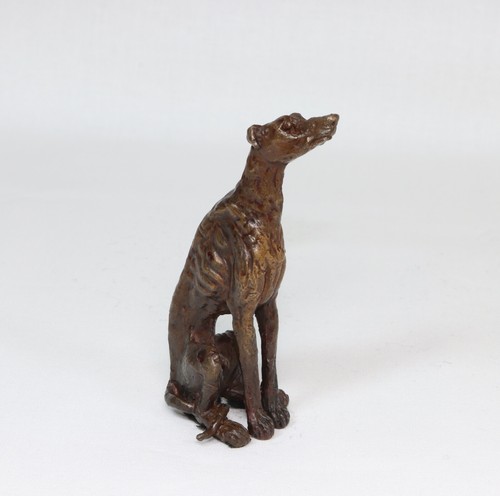 Greyhound lurcher looking up - greyhound,