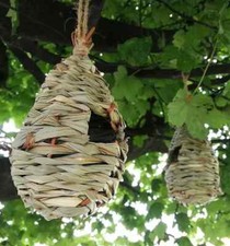 5pk Small Bird Nests Natural