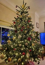 Balsam Hill Nordmann Fir 7ft Pre-lit Clear Bulbs