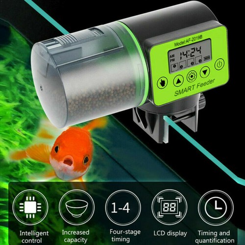 Automatic pond koi fish feeder - fish,