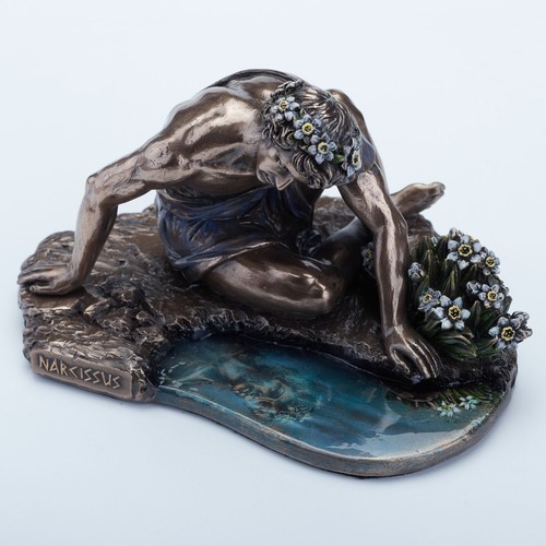Narcissus and his - his, reflection