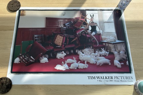 Tim walker design - tim, museum