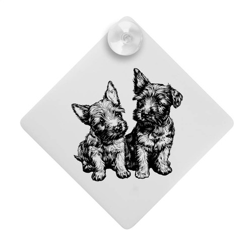 Scottish terrier puppies car - terrier, puppies'